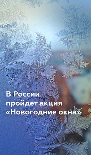 В России проходит акция «Новогодние окна»